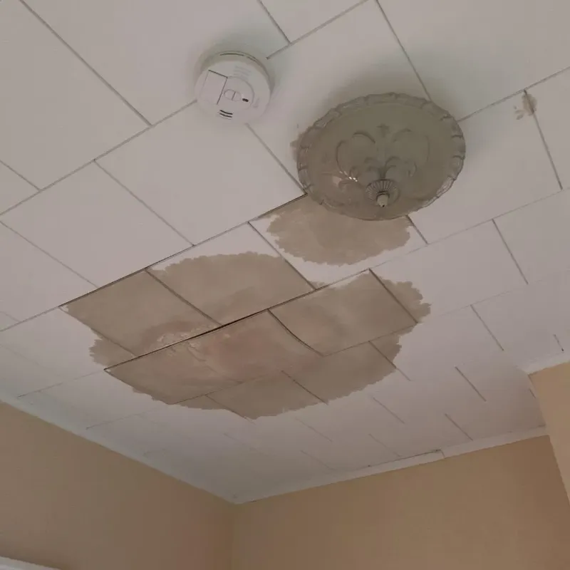 Ceiling Water Damage Repair in Linwood, PA