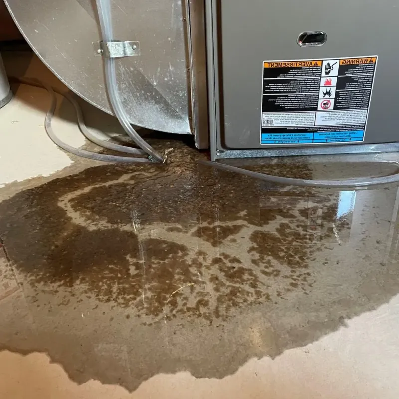 Pipe Burst and Leak Restoration in Linwood, PA